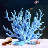 Besimple corail face avant montrant forme et stabilité décorative