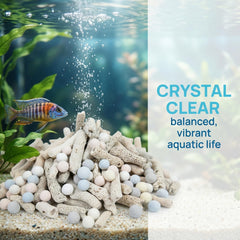 BeSlivewell gros plan corail concassé montrant texture pour biofiltration