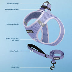 Best Pet Supplies boucle et double D-ring métallique pour sécurité renforcée