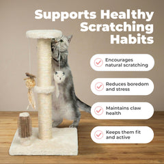Best Pet Supplies Catify brosse intégrée pour toilettage doux et pratique