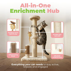Best Pet Supplies Catify jouets suspendus attirent l'intérêt et favorisent le jeu