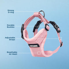 Best Pet Supplies attache D-ring métallique pour connexion fiable à la laisse