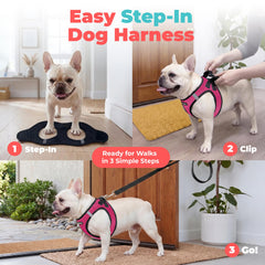Best Pet Supplies détail de la boucle robuste pour fermeture sûre
