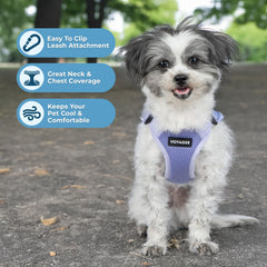 Best Pet Supplies détail arrière du harnais Voyager montrant la boucle sécurisée