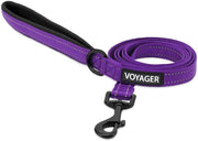 Best Pet Supplies laisse Voyager face avant violet pour promenades sécurisées