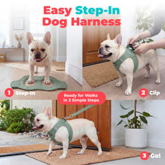 Best Pet Supplies boucles et velcro sécurisés pour attache rapide