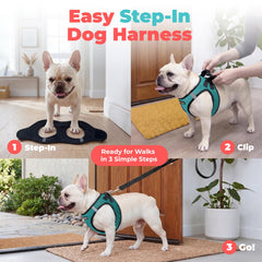 Best Pet Supplies bandes réfléchissantes augmentant sécurité nocturne