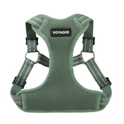 Best Pet Supplies harnais vue avant montrant coupe ajustée et confort