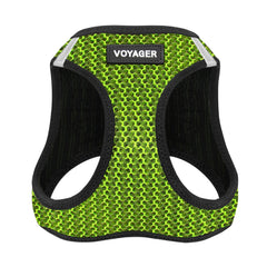 Best Pet Supplies harnais Voyager face avant vert lime, montre confort et style