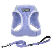 Best Pet Supplies harnais face lavande, confort visible lors de la marche