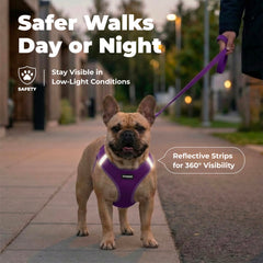 Best Pet Supplies harnais bandes réfléchissantes visibles pour sécurité nocturne