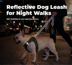 Best Pet Supplies clip en zinc Voyager fixé à un collier, sécurité et tenue renforcée