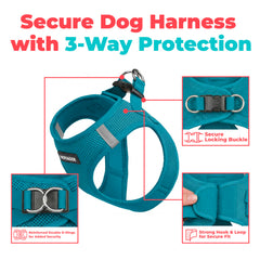 Best Pet Supplies dos du harnais montrant coupe enveloppante et respirabilité