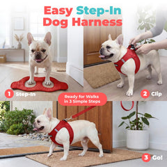Best Pet Supplies maille air mesh en gros plan, assure respirabilité et séchage rapide