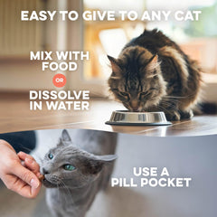 BestLife4Pets comprimés gros plan illustrant leur petite taille et facilité d'administration