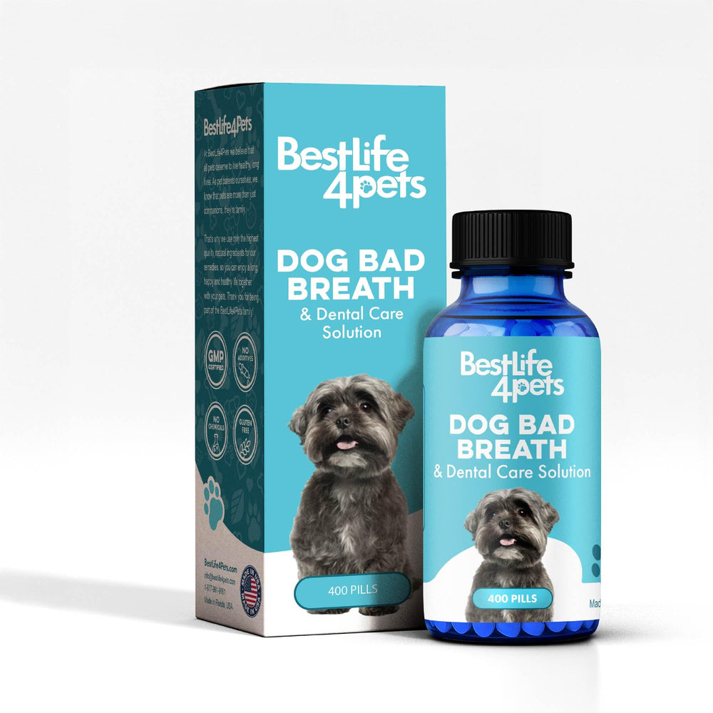 BestLife4Pets emballage avant montrant format pratique pour administration quotidienne