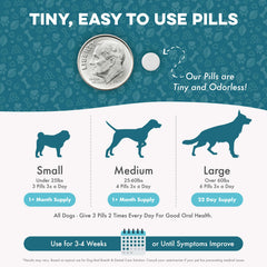 BestLife4Pets pellets dissous dans l'eau prouvant administration alternative simple