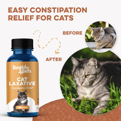 bestlife4pets pilule masquée dans nourriture montrant facilité d'administration