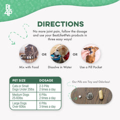 BestLife4Pets propriétaire donnant un comprimé à un chien, administration simple