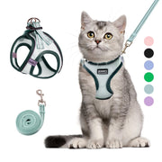 BETMAYPET harnais vue avant montrant coupe Y et confort