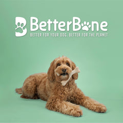 BetterBone gros plan de la texture avec nubs pour nettoyage dentaire