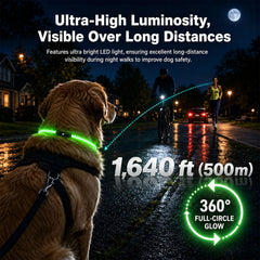Gros plan des LED BevinMugford révélant luminosité et répartition uniforme