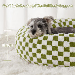 BFPETHOME chiot blotti dans le lit offrant sentiment de sécurité