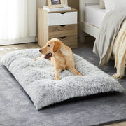 BFPETHOME lit devant montrant forme et finition, confort visuel immédiat