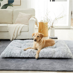 BFPETHOME gros plan sur la texture pelucheuse, douceur apaisante pour chien