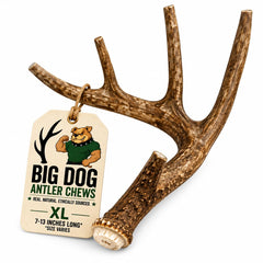 Big Dog Antler Chews emballage avant montrant antler XL et avantage durabilité