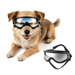 Billionchains vue avant des lunettes protégeant les yeux du chien
