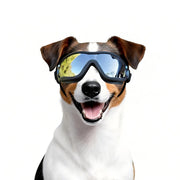 Billionchains packaging face avant montrant lunettes pour chien et protection