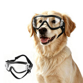 Billionchains lunettes pour chien face avant protégeant les yeux du vent