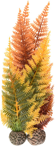 biOrb plante fougère hiver face avant décor naturel durable