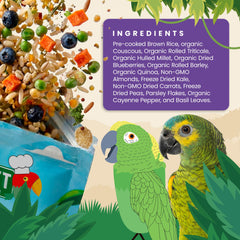 Bird Street Bistro gros plan sur la texture des grains pour diversité nutritionnelle