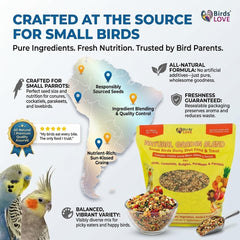 Birds LOVE graines et noix étalées illustrant diversité nutritive