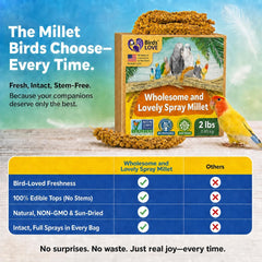 Birds LOVE main offrant millet, renforcement positif facile