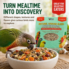 Birds LOVE noix et graines montrant nutriments et texture