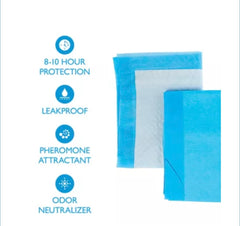 Birsppy gros plan du noyau absorbant montrant absorption rapide