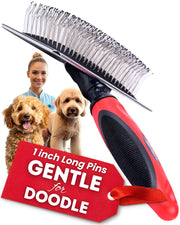 Bixy Pixy brosse vue avant montrant la tête large, facilite le démêlage rapide