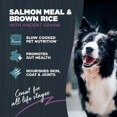 Blackwood gros plan des croquettes montrant texture et bénéfice d'appétence