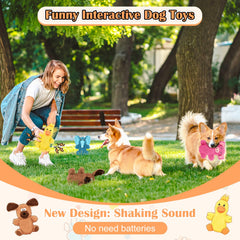 BLSCC chien jouant avec cochon rose pour exercice et distraction