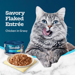 Blue Buffalo pack de 24 boîtes démontrant commodité pour plusieurs repas