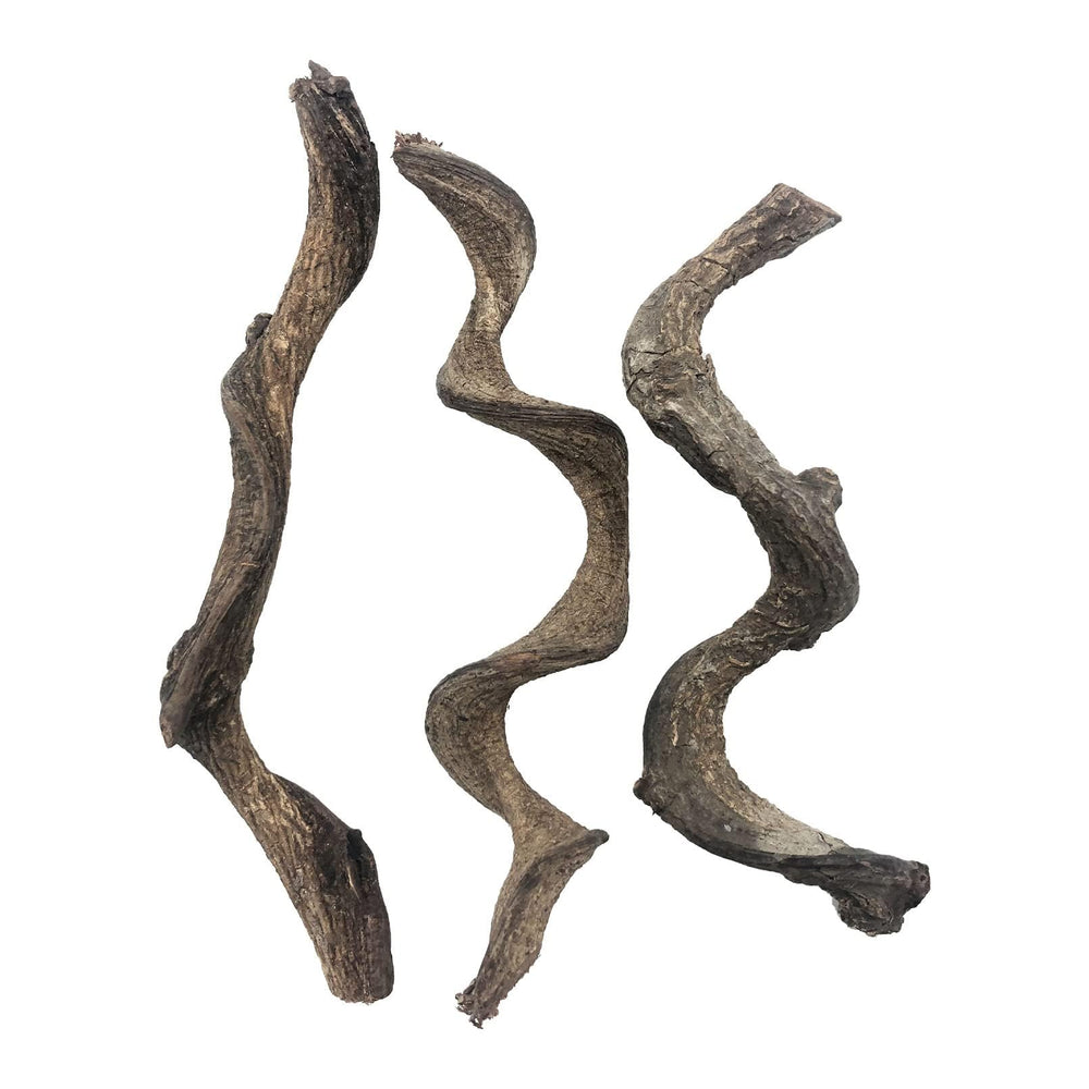 BNOSDM branche face avant montrant forme naturelle et intégration décorative