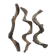 BNOSDM branche face avant montrant forme naturelle et intégration décorative