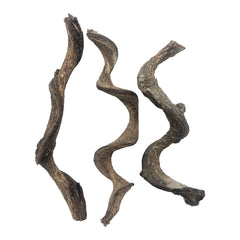BNOSDM branche face avant montrant forme naturelle et intégration décorative
