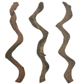 BNOSDM branche vue face montrant forme naturelle et intégration décorative