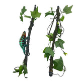 BNOSDM vigne face avant montrant forme réaliste pour perchoirs