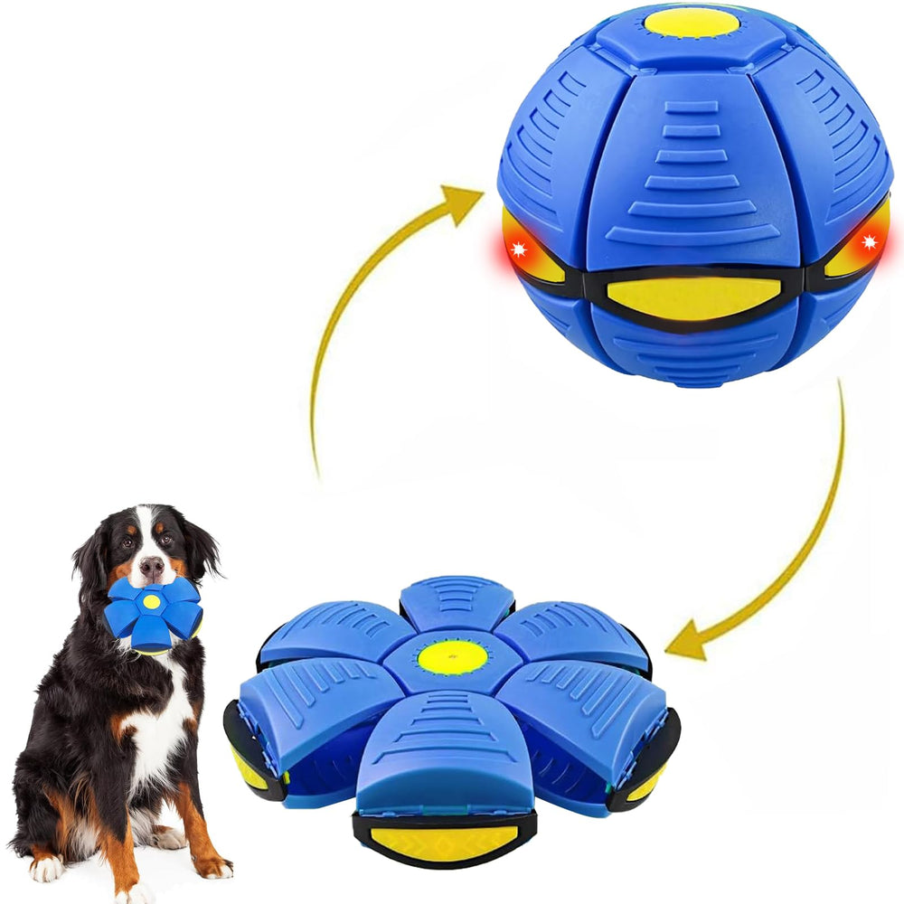Bobcow UFO face avant montrant la forme et le design pratique