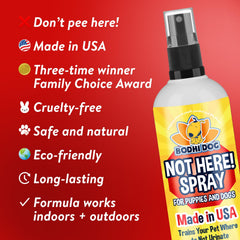 Bodhi Dog spray appliqué sur tapis pour prévenir marquage, protège le sol